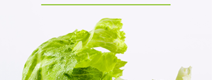 9 unique sections of important information, 9 different aspects of food technology, 9 promising solutions for the modern food industry.