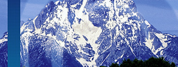 Bakalaureuseõppe töö omastamine toob kaasa õpingute tagasivõtmise