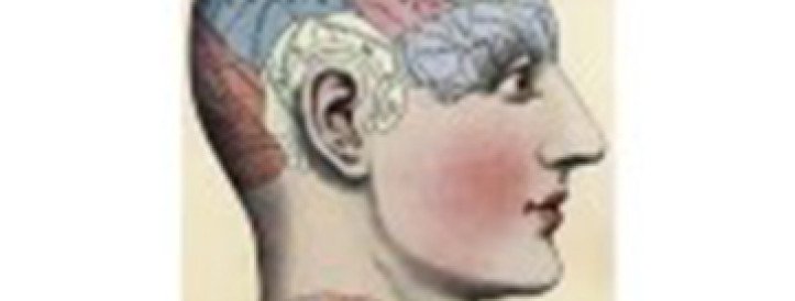 Springer Nature'i psühholingvistika ajakiri võttis tagasi üle tosina artikli autoriõiguse ja eelretsenseerimise probleemide tõttu