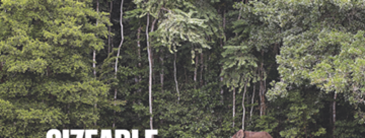 Autorid võtavad tagasi ajakirjas Nature ilmunud artikli, mis ennustab kliimamuutuste kõrgeid kulusid