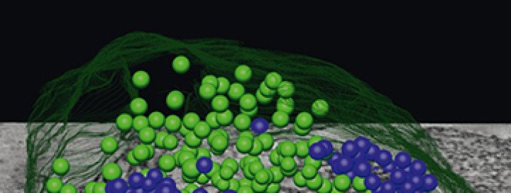 Parandus avaldati lõpuks seitse aastat pärast seda, kui autorid lubasid vea 