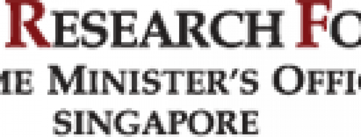 National Research Foundation. The Singapore NRF Fellowship