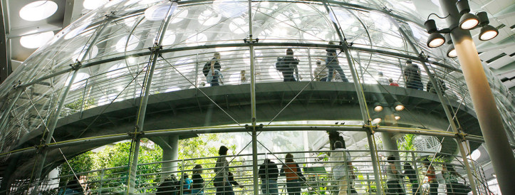 AI-Generated Exam Submissions Evade Detection at Reputable UK University