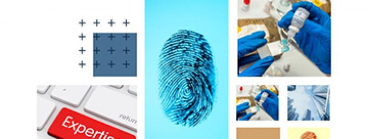 Collective monograph with indexed in Scopus: