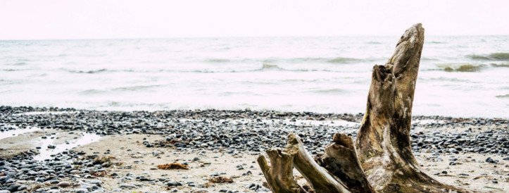 Eesti rannikul tekivad meresoojuse lained