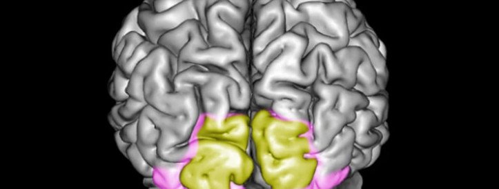 Visuaalse mälu mõistmine: Insights from Brain Research