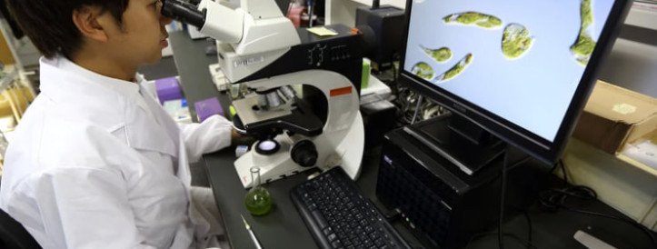 Jaapani teadlased nõuavad suuremat rahastamist alusuuringute jaoks