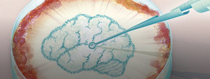 Teadlased üritavad inimesi valeinformatsiooni vastu 