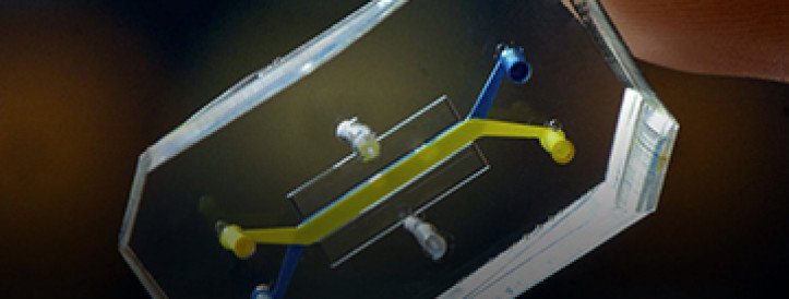 Trumpi administratsiooni tõuke abil püüavad elundikiibid, tehisintellekt ja muud tehnoloogiad asendada loomi ravimite ja kemikaalide testimisel.