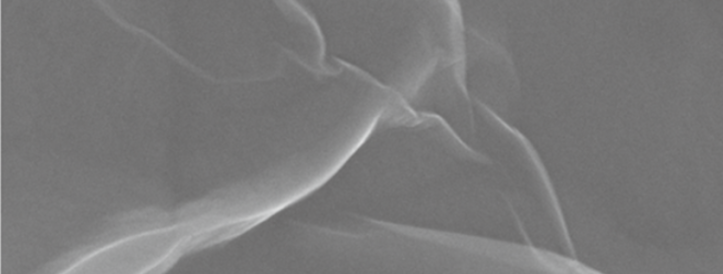 Tuhanded paberid identifitseerivad mikroskoope valesti, mis on võimalik märk väärkäitumisest