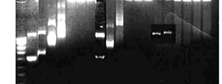 COPE usaldusväärsuse eest vastutav ametnik kaotas 22 aastat vana artikli pildiprobleemide tõttu