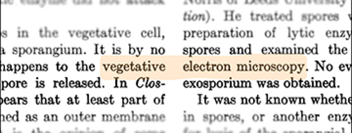 Nagu varjulise päritolu jabur fraas teeb ringi, kaitseb Elsevier selle kasutamist