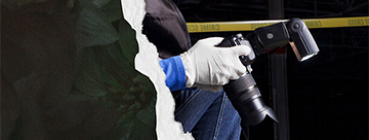 Collective monograph